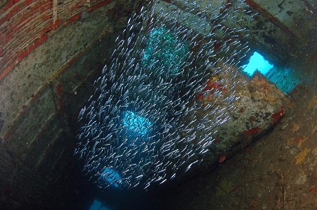 FMazeas site tupasurf_019.jpg